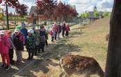 V&yacute;let do ZOO Chleby